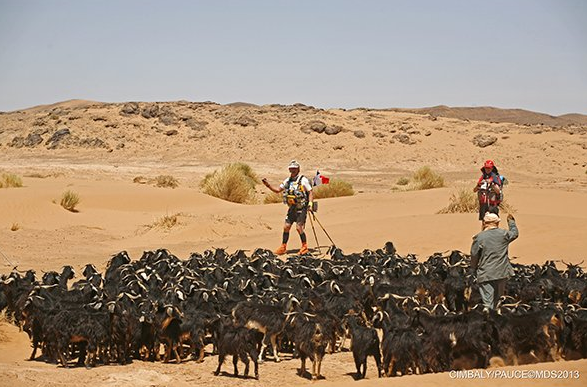 MDS - Etappe 1 - Kudde