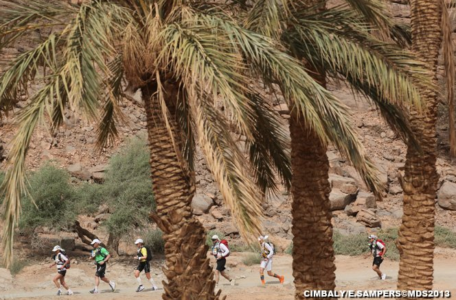 MDS - Etappe 3 Palmbomen