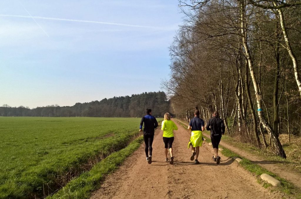Brechtse Bosloop_3